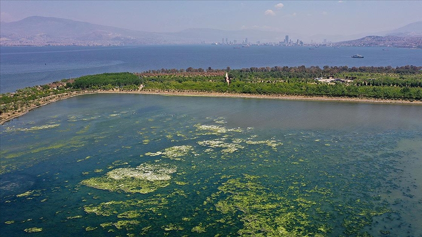 İzmir Körfezi'nde kötü koku sıcaklığın yükselmesiyle etkisini artırdı