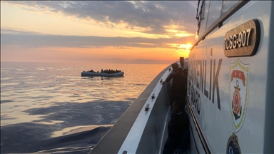 В прибрежных водах Турции спасены 52 нелегальных мигранта
