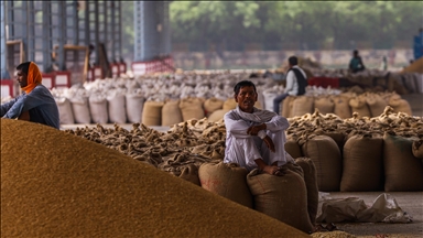 بعد قرار الحظر.. الهند ستصدّر القمح المتعاقد عليه فقط