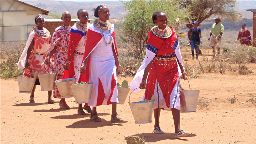 Women in Kenya declare war on invasive colonial-era plant species