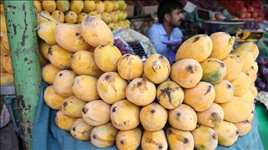 Pakistan likely to face dip in mango production