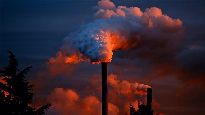 Polusi bunuh lebih dari 9 juta orang setiap tahun secara global