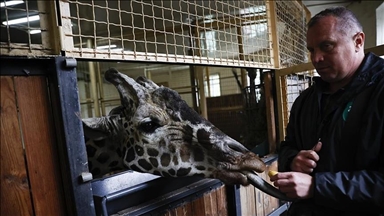 تبدیل باغ وحش کی‌یف به پناهگاهی برای حیوانات مناطق جنگی در اوکراین
