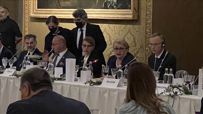 Torino: Turković na sastanku s evropskim ministrima vanjskih poslova