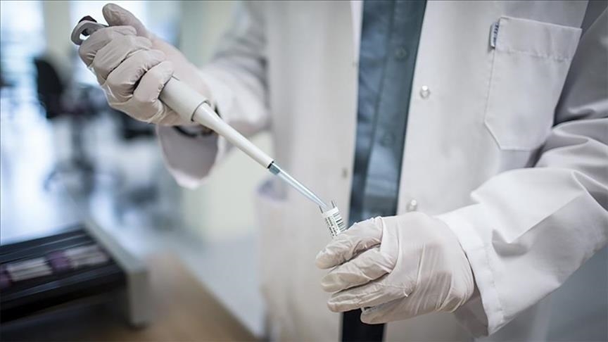France : Un premier cas confirmé d'infection à la variole du singe