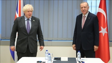 Эрдоган и Джонсон обсудили заявки Финляндии и Швеции в НАТО 