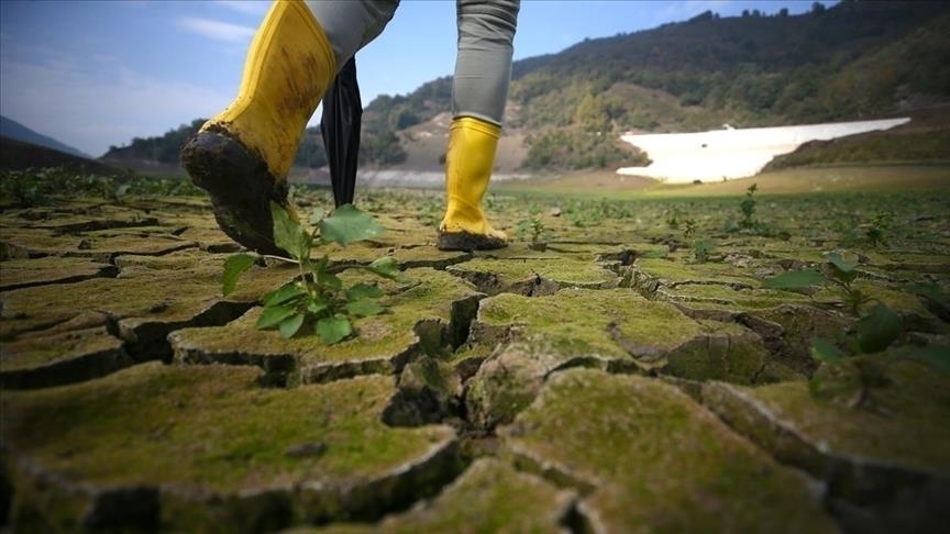Côte d’Ivoire: La COP15 s'engage pour la restauration d'un milliard d'hectares de terres dégradées d'ici 2030