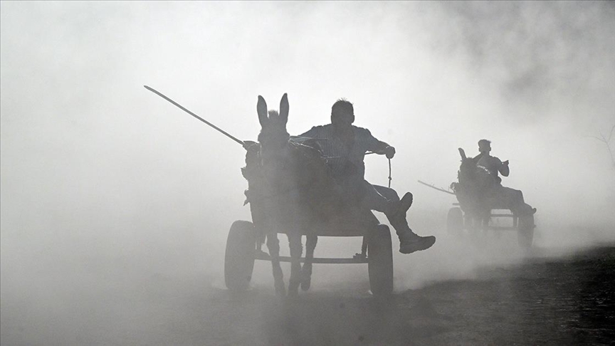 Van'da 'eşek arabası yarışları' yapıldı