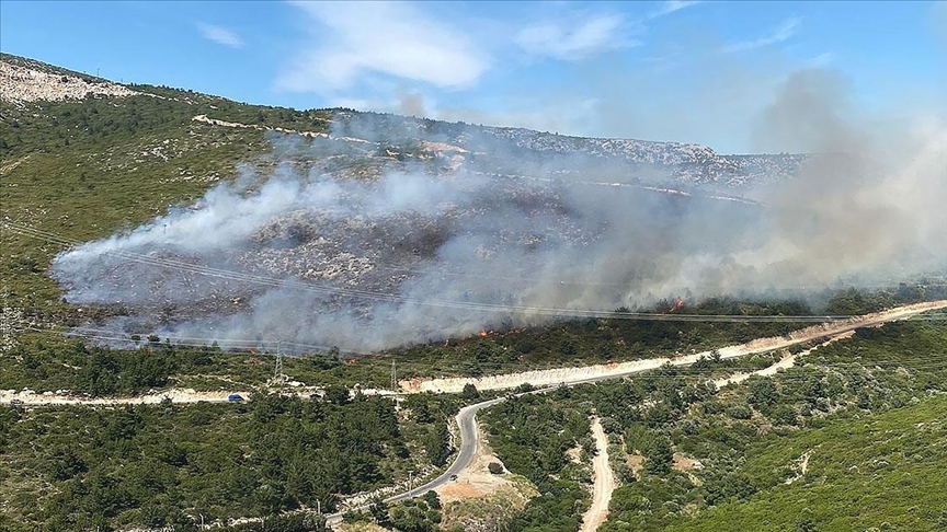 İzmir'in Urla ve Dikili ilçelerinde çıkan yangınlar kontrol altına alındı