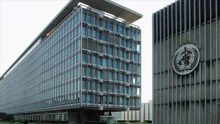 ВОЗ: не менее 250 человек в 16 странах заразились вирусом оспы обезьян