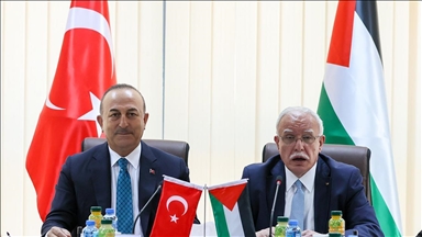 Чавушоглу: Турция продолжит поддерживать братьев в Палестине