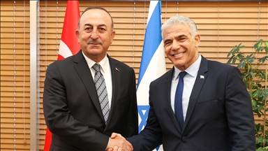 Israeli FM meets Turkish counterpart to discuss bilateral ties