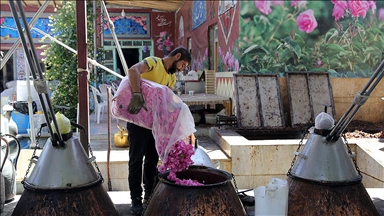 İran'ın 'gül ve gül suyu başkenti' Kemser'de geleneksel yöntemle üretim sürüyor
