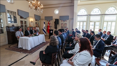 تشاووش أوغلو يلتقي أعضاء مجلس العمل التركي- الإسرائيلي