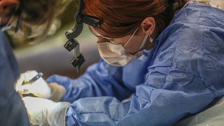 Plastik cerrahi uzmanlarına kadavra üzerinde eğitim