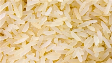В России предложили ввести запрет на вывоз риса 