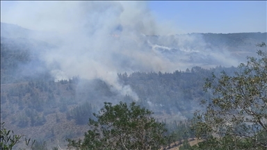 KKTC'de Geçitköy bölgesinde çıkan orman yangını kontrol altına alındı