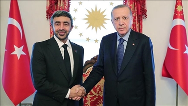 دیدار اردوغان با وزیر امور خارجه امارات
