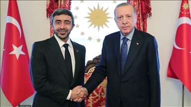 أردوغان يستقبل وزير خارجية الإمارات في إسطنبول