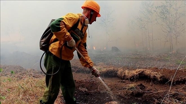 В России горят 60 тыс. гектаров леса