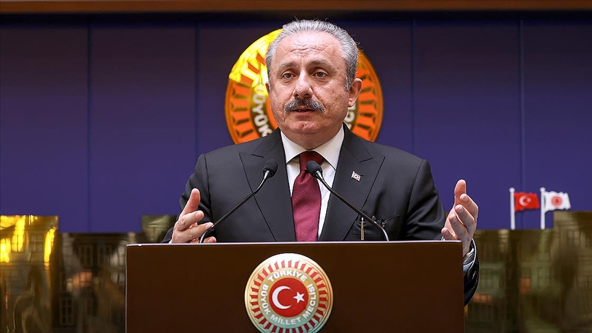 Şentop: Toprağa dikilen her fidan, istiklalimiz ve istikbalimiz için mücadelemizin şahitleri olarak yaşayacak
