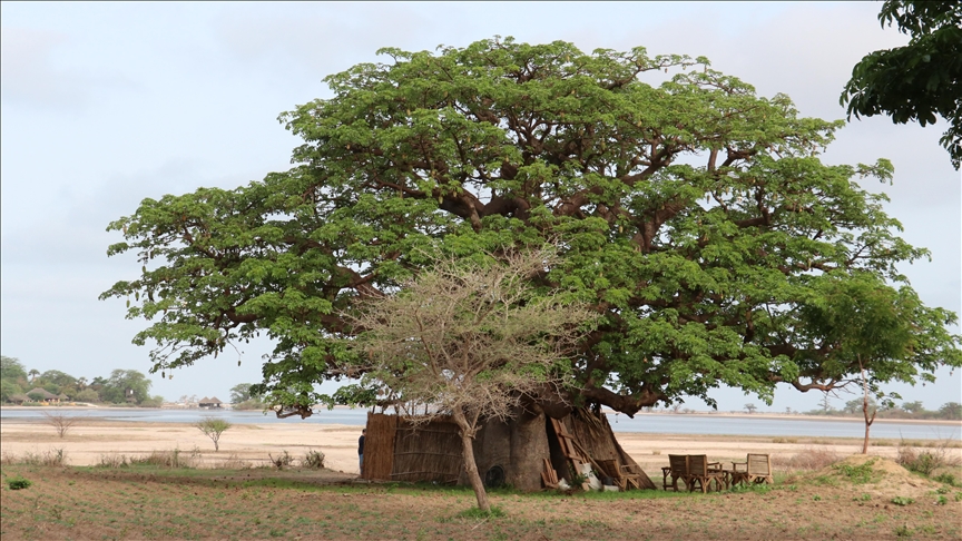 Sénégal : La Falémé survivra-t-elle à la fièvre de l’or ?