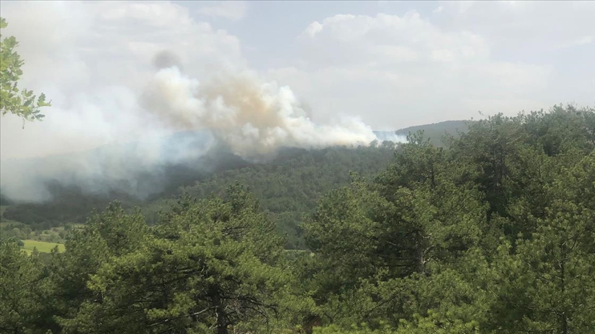 طواقم الإطفاء تواصل إخماد الحرائق في غابات بولو التركية