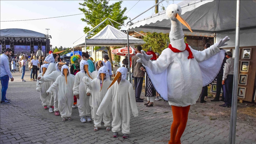 На северо-западе Турции прошел 16-й Международный фестиваль аистов