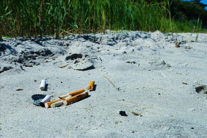 DSÖ: Dünyada en çok tütün ürünleri çöpe atılıyor