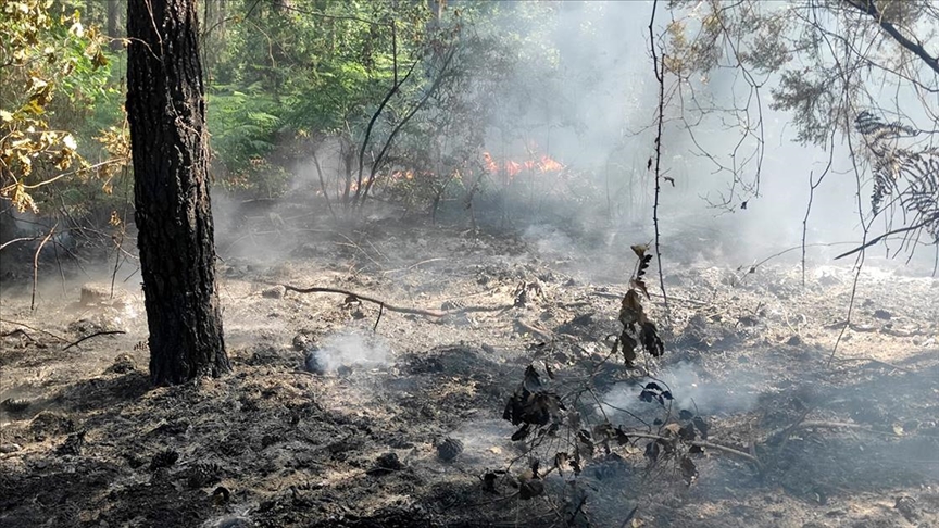 Eyüpsultan'da yangın çıkan ormanlık alanda soğutma çalışması tamamlandı