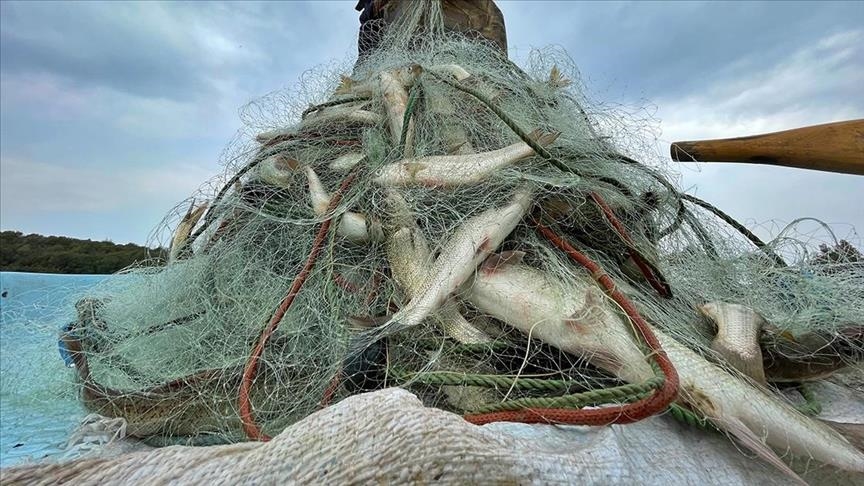 Объем производства морепродуктов в Турции в 2021 году вырос на 1,8 %