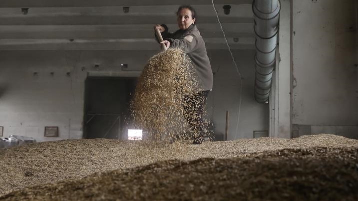 20M tons of grain to be available to world thanks to command center in Istanbul
