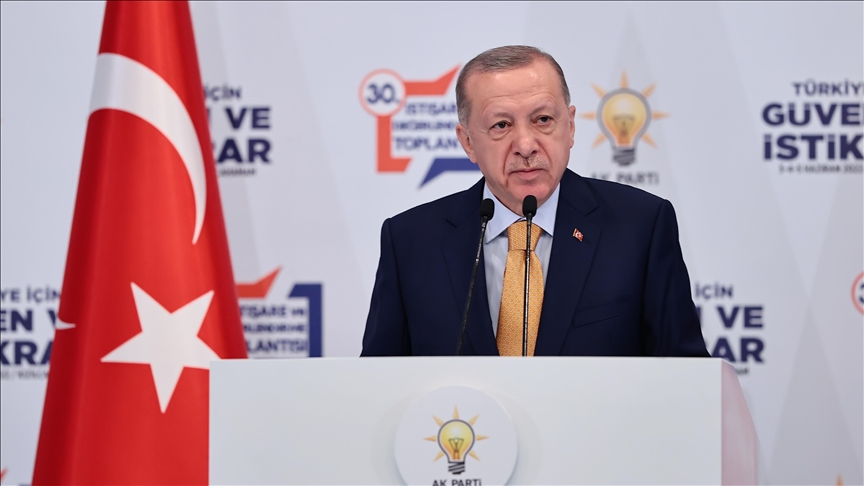 Capacity increase of Southern Gas Corridor 'accurate': Turkish president