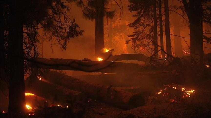 Wildfire kills 4 in northwestern Pakistan