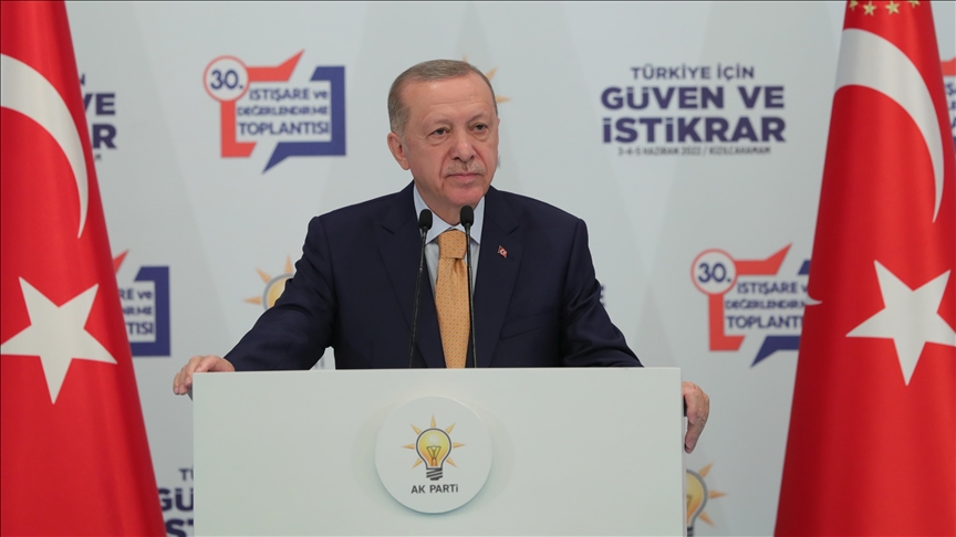 Türkiye taking steps for security zone on border: President Erdogan