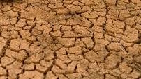 Famine threat 'looms larger than ever' as Somalia drought worsens, warns UN