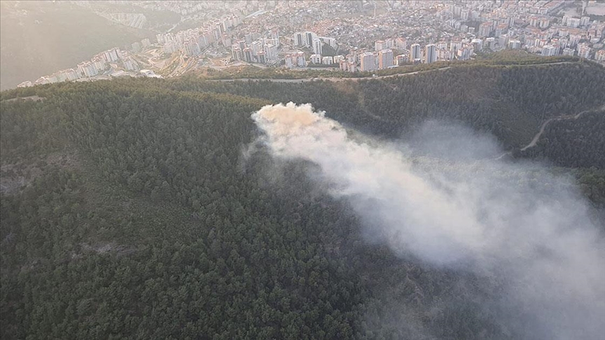 İzmir'de çıkan orman yangını kontrol altına alındı