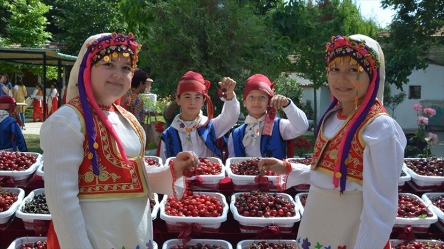 На северо-западе Турции стартует 56-й Международный фестиваль черешни