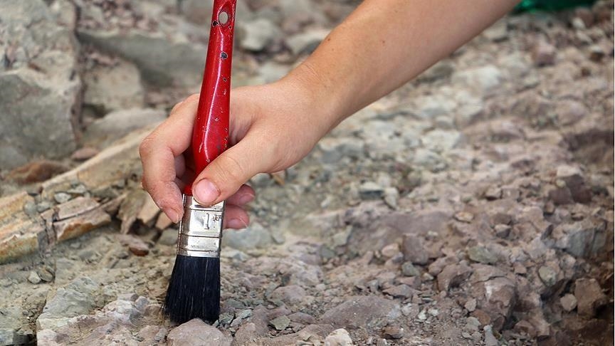 Avrupa'nın "gelmiş geçmiş en büyük kara dinozoru" fosili İngiltere'de bulundu