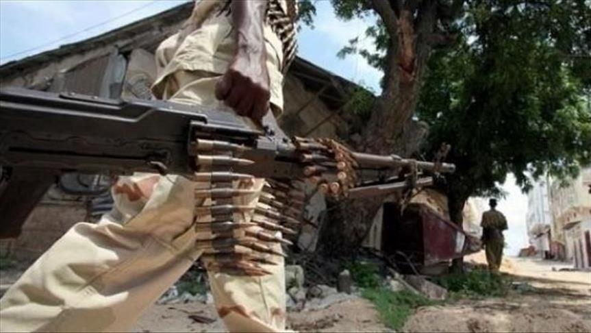 Somali military kills at least 12 al-Shabaab terrorists