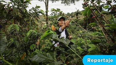 Con el café no solo se contribuye al desarrollo de Colombia, también ahora se empodera a la mujer campesina