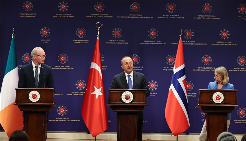 Swedish, Finnish responses do not meet expectations: Turkish foreign minister on Nordic NATO bids