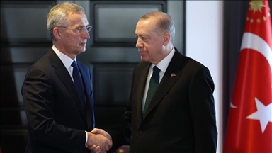 Turkish president, NATO chief discuss alliance bids of Sweden, Finland in phone call