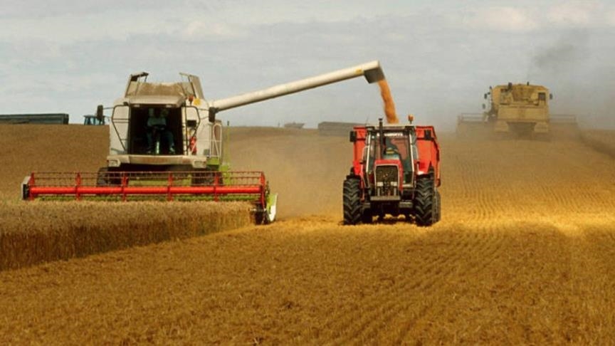 ООН тесно сотрудничает с властями Турции по вывозу украинского зерна
