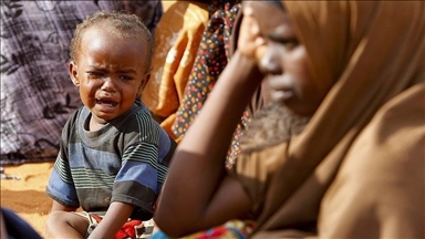 Banka Botërore miraton kredi prej 100 milionë dollarësh për Somalinë