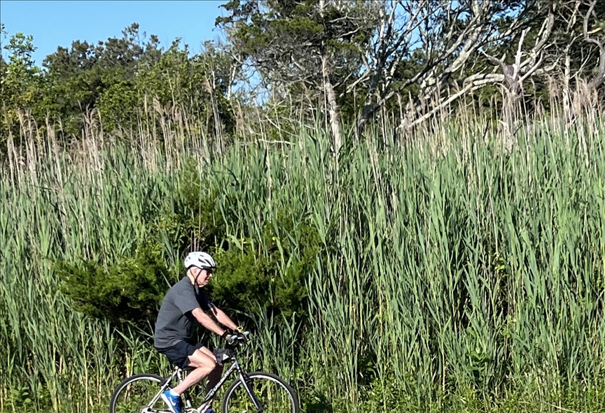 US president falls off bike while cycling in Delaware