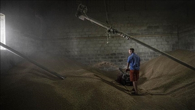 دشواری کشاورزان اوکراینی برای فروش گندم 