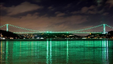 Подвесные мосты Стамбула окрасились в зеленый цвет в знак борьбы со сколиозом