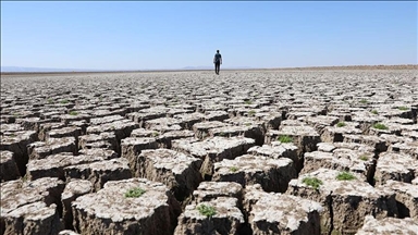 Experts warn of desertification risk due to climate change-related drought
