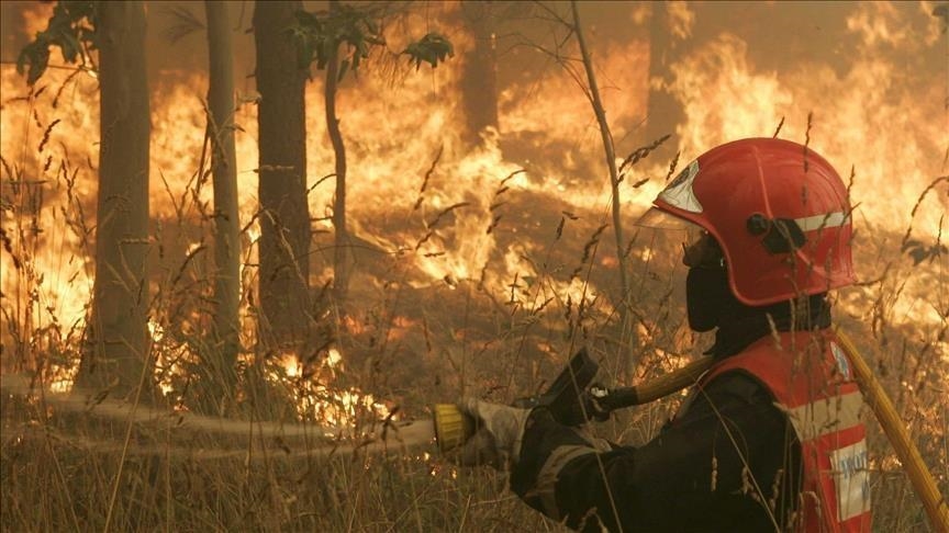 Canicule: plus de 30 incendies déclarés en Espagne 